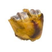 LUCKY ANIMALS Мясная колотушка говяжья