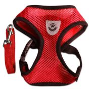 LION Шлейка с поводком размер S обхват груди 34см,шея 24см-1,2 м