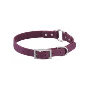 PET-IT Ошейник водонепроницаемый для собак с пряжкой и кольцом L 43-58 см, ширина 25 мм, фиолетовый