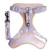 LION LP22-2 Шлейка с поводком бежевая (Размер XL обхват груди 66-88 см, шея 60-82 см)