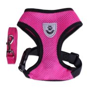 LION LP-2303 Шлейка с поводком нейлоновая (Размер S обхват груди 34 см, шея 24 см, поводок 1,2 м)