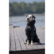 BALU Зимний комбинезон с воротником (Самец) Размер 55 см, черный