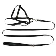 RICH BREED Шлейка+поводок (1,3 м) с мягкой ручкой для кошек, чёрный, M, шея 20-34, грудь 26-43 см