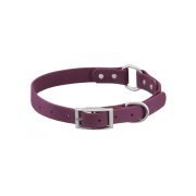 PET-IT Ошейник водонепроницаемый для собак с пряжкой и кольцом L 33-48 см, ширина 1,9см, фиолетовый