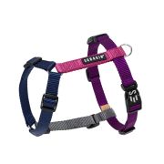 SOBAKIN Шлейка для собак «Канис Аметист» ХS