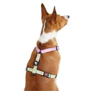 LION LP23-10 Шлейка, S, обхват груди 28-40 см, шея 24-32 см