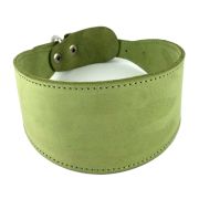 COLOR LINE Ошейник камбала двухслойный (30 см, нубук, салатовый)