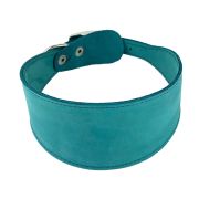 COLOR LINE Ошейник камбала двухслойный (30 см, нубук, бирюзовый)