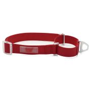 TRIOL Ошейник-мартингейл (полуудавка) нейлоновый «Стандарт» L, красный, 25*480-700мм