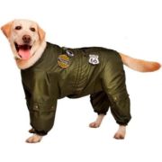 DOGVILLE Одежда комбинезон милитари, нашивки, демисезон (30930LдШ)