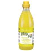 ISB Ginger&Elderbery Шампунь для любого типа шерсти против раздражений и перхоти 100 мл