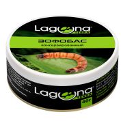 LAGUNA Зофобас консервированный 0,04 кг